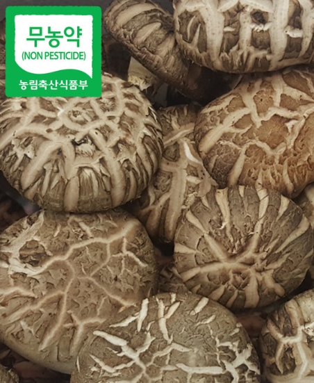 무농약 특 표고버섯 1kg